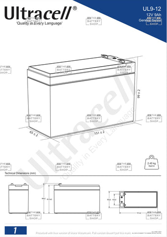 12V 9AH